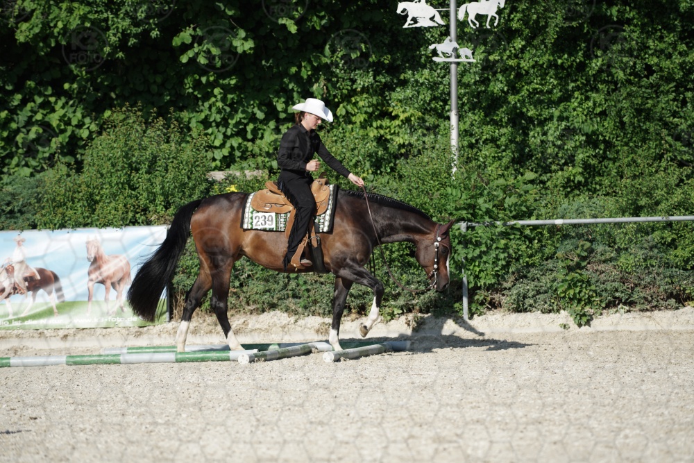 s_APF06934.jpg